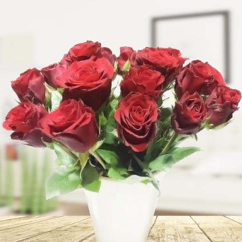 Rosen Geschenkset: 20 frische rote Rosen inklusive Keramikvase und inklusive Grußkarte # Geschenk # Geburtstag # Liebe von Rosenbote