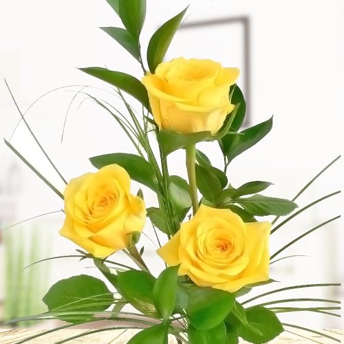 Rosenstrauß - Drei große gelbe Rosen inklusive gratis Vase von Rosenbote