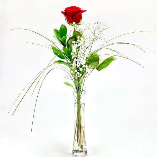 Rote Rose mit Schleierkraut und Gräsern - XXL-Blüte - Inklusive Vase und Grußkarte # Ich liebe dich # Für Verliebte von Rosenbote