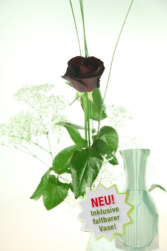 Schwarze Rose mit Schleierkraut und Gräsern - Inklusive Vase und Grußkarte von Rosenbote