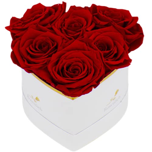 Rosenlieb Herz Rosenbox mit 6 Infinity Rosen (3 Jahre haltbar) | Handgefertigte Flowerbox aus Deutschland inkl. Grußkarte von Rosenlieb