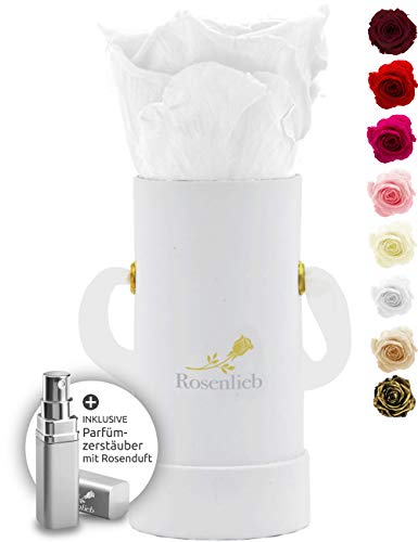 Rosenlieb Rosenbox Weiß mit Infinity Rosen (bis 3 Jahre haltbar) | Echte konservierte Rosen | Flowerbox Geschenk für Frauen Freundin Pico Bella Weiß von Rosenlieb