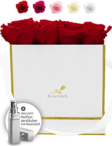 Rosenlieb Rosenbox mit 16 Infinity Rosen (3 Jahre haltbar) | Echte konservierte Blumen | Flowerbox Inklusive Grußkarte (Square Bellissima Weiß, Rot) von Rosenlieb