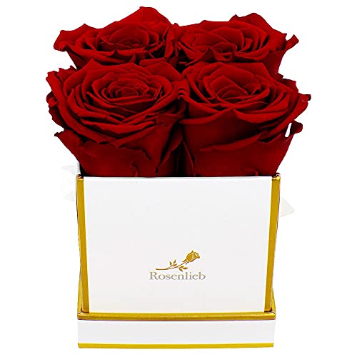 Rosenlieb Rosenbox mit 4 Infinity Rosen (3 Jahre haltbar) | Echte konservierte Rose | Geschenk für Freundin sie | Flowerbox Inkl. Grußkarte | Weihnachten, Muttertag (Square Bravo Weiß, Rot) von Rosenlieb