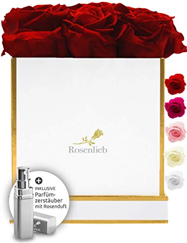 Rosenlieb Rosenbox mit 9 Infinity Rosen (3 Jahre haltbar) | Handgefertigte Blumenbox aus Deutschland inkl. Grußkarte Frauen Freundin Muttertag von Rosenlieb