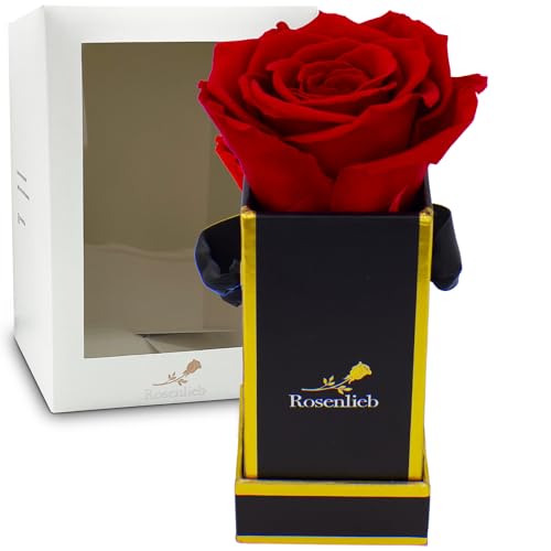 Rosenlieb Rosenbox mit Infinity Rosen (3 Jahre haltbar) | Echte konservierte Blumen | Flowerbox Inklusive Grußkarte (Square Bella Schwarz, Rot) von Rosenlieb