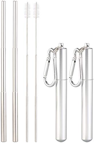 Rosenstein & Söhne ausziehbarer Strohhalm: 2er-Set Teleskop-Edelstahl-Trinkhalme mit Bürste, Schlüsselanhängerbox (Teleskop Strohhalm, Metalltrinkhalme, Sclüsselanhänger) von Rosenstein & Söhne