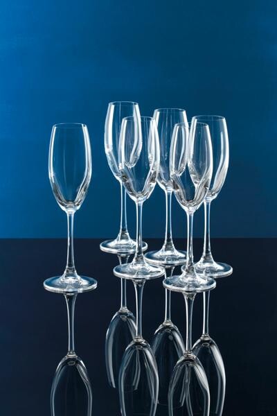 Rosenthal Champagnerglas 0,22 l DiVino Glatt klar von Rosenthal