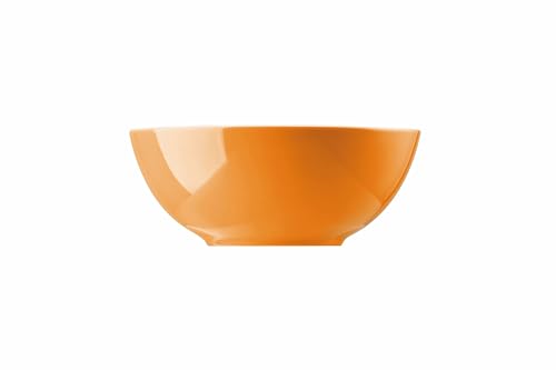 Thomas Sunny Day Orange Müslischale 15 cm von Rosenthal