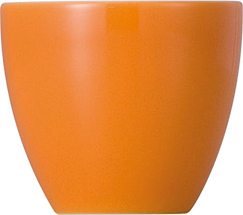 Thomas Sunny Day Orange Eierbecher von Rosenthal