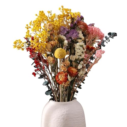 RosewineC 30 Stück Trockenblumen Deko Set Natürliche Don't Forget Me Rose Getrocknet Blumen Dried Flowers Pflanzen Blumenstrauß Boho Deko für Wohnzimmer Home Hochzeit Vasen Tischdeko von RosewineC