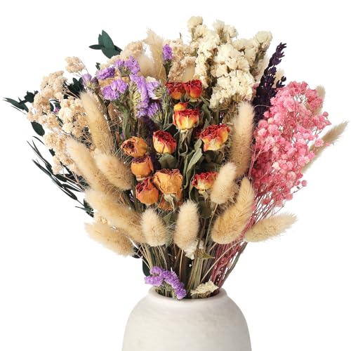 RosewineC Trockenblumenstrauß Deko Set Natürliche Don't Forget Me Rose Getrocknet Blumen Dried Flowers Pflanzen Blumenstrauß Boho Deko für Wohnzimmer Home Hochzeit Vasen Tischdeko von RosewineC