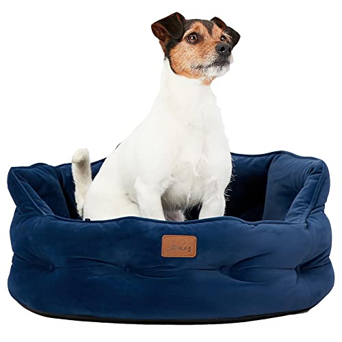 Rosewood Joules Chesterfield Haustierbett, groß, für Hunde und Katzen, Marineblau von Rosewood