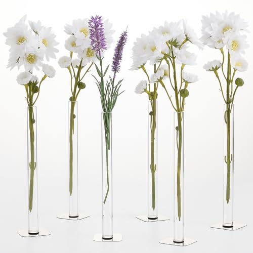 Roshtia Transparente Blumenvasen, Reagenzgläser aus Glas mit Magnet, Metallsockel, 17,8 x 1,5 cm, moderne Tischdekoration für Zuhause, Büro, Hochzeit, geeignet für echte und künstliche Blumen, mit 6 Roshtia Transparente Blumenvasen, Reagenzgläser aus Glas mit Magnet, Metallsockel, 17,8 x 1,5 cm, moderne Tischdekoration für Zuhause, Büro, Hochzeit, geeignet für echte und künstliche Blumen, mit 6 von Roshtia