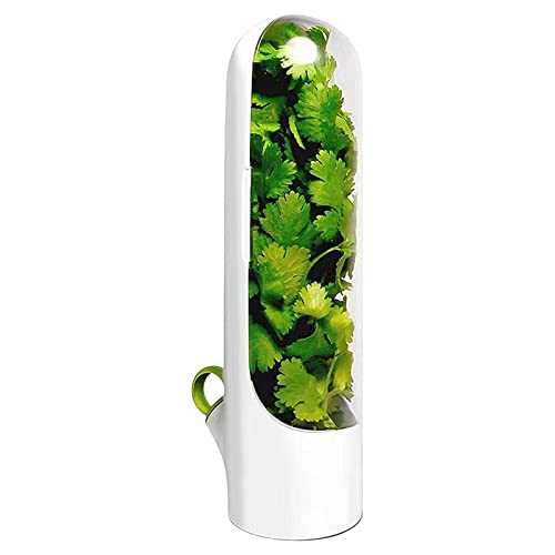 Rosixehird Spargelbehälter für Kühlschrank,Gemüse-Aufbewahrungsbox für Kühlschrank - Keeper-Gemüsekonservierungsflasche, Korianderbehälter für Kühlschrank, Frischhaltebehälter für Koriander, inze von Rosixehird