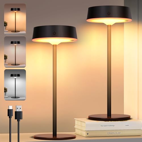 Rosnek LED Tischlampe Kabellos, Solar Outdoor Tischlampe für Touch Schalter, Schwarz USB Akku Tischleuchte, 3 Farbtemperaturen Stufenlos Tischleuchte Dimmbar für Innen & Aussen (2er Pack) von Rosnek