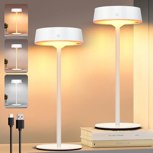 Rosnek LED Tischlampe Kabellos, Solar Outdoor Tischlampe für Touch Schalter, Weiß USB Akku Tischleuchte, 3 Farbtemperaturen Stufenlos Tischleuchte Dimmbar für Innen & Aussen (2er Pack) von Rosnek