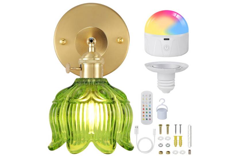 Rosnek Wandleuchte LED Wandlampe Modern Dimmbar RGB mit Fernbedienung, Glas Grüne Blumen, Einstellbar, LED fest integriert, Warmweiß, Neutralweiß, Kaltweiß, RGB, Helligkeit einstellbar von 15%-100%, Timer, Wiederaufladbar E27 Kabelloses Nachtlicht für Flur Schlafzimmer von Rosnek