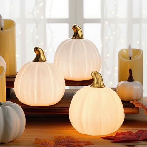 Rossesay 3 Stück beleuchtete Herbst-Kürbis-Tischdekoration, beleuchtete Keramik-Kürbisse mit Lichtern für Thanksgiving, Halloween, Zuhause, Tischdekoration, Küchendekoration (weiß) von Rossesay