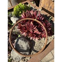Edelrost Deko-Ring Mit Schraube - Durchmesser 12 cm von Rostalgie