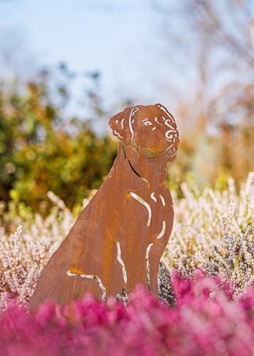 Rostalgie Edelrost Hund Cliff sitzend auf Bodenplatte - Höhe 50 cm von Rostalgie