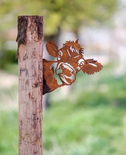 Rostalgie Edelrost Tierfiguren/Tierköpfe für Holz Gartendekoration Bauernhoftiere (lustiger Kuhkopf) von Rostalgie