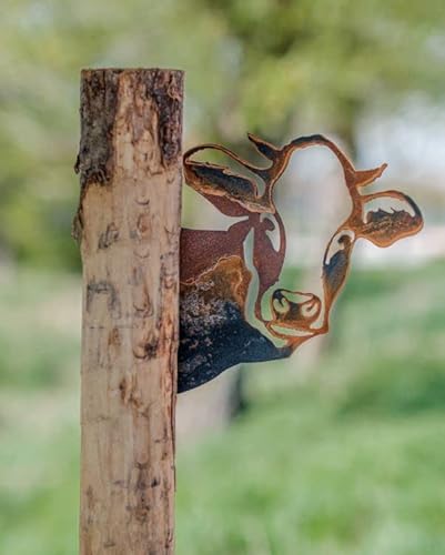Rostalgie Edelrost Tierfiguren/Tierköpfe für Holz Gartendekoration Bauernhoftiere (Kuhkopf) von Rostalgie