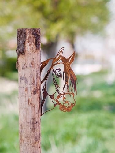 Rostalgie Edelrost Tierfiguren/Tierköpfe für Holz Gartendekoration Bauernhoftiere (Pferdekopf) von Rostalgie
