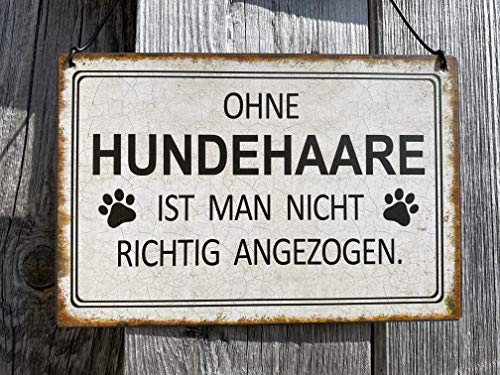 Rostalgie Metall Mini Schild - Ohne Hundehaare - 15 x 10 cm Wandschild Dekoration Rostalgie Metall Mini Schild - Ohne Hundehaare - 15 x 10 cm Wandschild Dekoration von Rostalgie