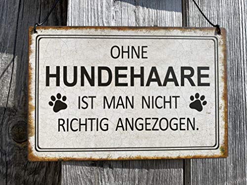 Rostalgie Metall Mini Schild - Ohne Hundehaare - 15 x 10 cm Wandschild Dekoration von Rostalgie