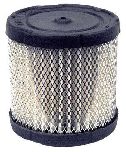 Rotary 2788 Luftfilter für Briggs und Stratton # 396424 von Rotary