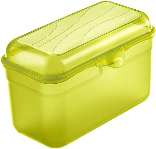 Rotho Fun Vesperdose 1.75l mit Klickverschluss, Kunststoff (PP) BPA-frei, grün, 1.75l (19.5 x 10.5 x 12.5 cm) von Rotho