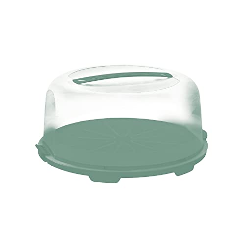 Rotho Fresh hoher Tortendeckel mit Haube und Tragegriff, Kunststoff (PP) BPA-frei, türkis/transparent, (35.5 x 34.5 x 16.5 cm) von Rotho