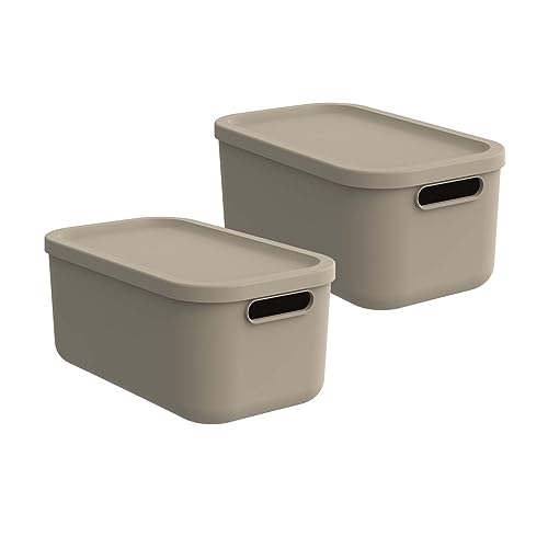 Rotho Albula light 2er-Set Aufbewahrungsbox 12l mit Deckel, Kunststoff, blau (Beige) Rotho Albula light 2er-Set Aufbewahrungsbox 12l mit Deckel, Kunststoff, blau (Beige) von Rotho