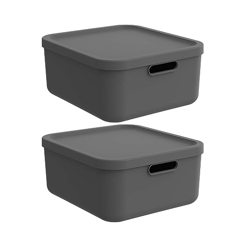 Rotho Albula light 2er-Set Aufbewahrungsbox 20l mit Deckel (Anthrazit) Rotho Albula light 2er-Set Aufbewahrungsbox 20l mit Deckel (Anthrazit) von Rotho
