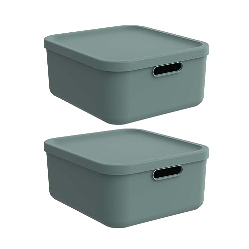 Rotho Albula light 2er-Set Aufbewahrungsbox 20l mit Deckel, Kunststoff, grün Rotho Albula light 2er-Set Aufbewahrungsbox 20l mit Deckel, Kunststoff, grün von Rotho