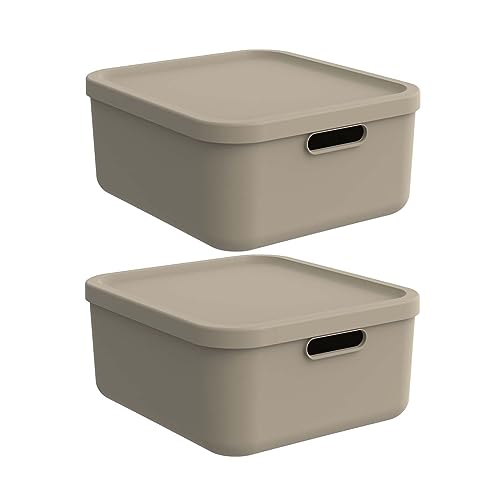 Rotho Albula light 2er-Set Aufbewahrungsbox 20l mit Deckel, Kunststoff, beige von Rotho