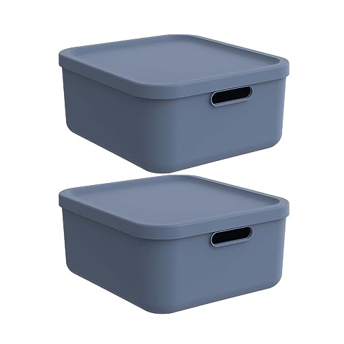 Rotho Albula light 2er-Set Aufbewahrungsbox 20l mit Deckel (Blau) von Rotho