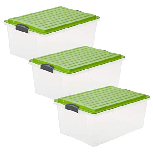 Rotho Compact 3er-Set Aufbewahrungsbox 38l mit Deckel, Kunststoff (PP) BPA-frei, transparent/grün, 3 x A3/38l (57.0 x 40.0 x 25.0 cm) von Rotho