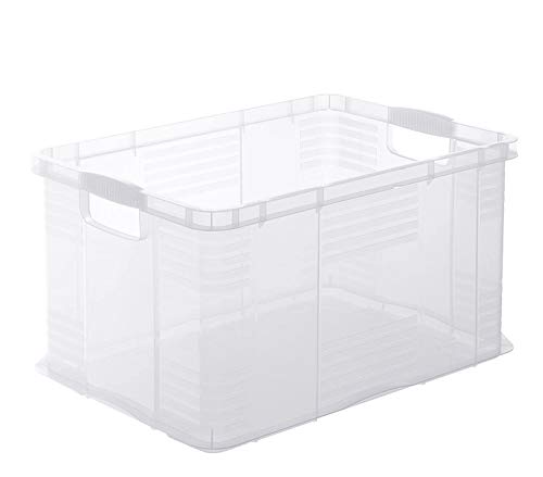 Rotho Agilo Aufbewahrungsbox 55l, Kunststoff, Transparent von Rotho