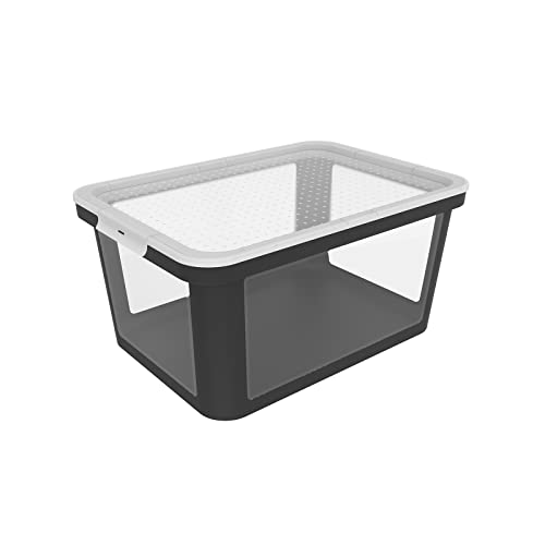 Rotho Albris Aufbewahrungsbox 45l mit Deckel, Kunststoff (PP recycelt), transparent/schwarz, 45l (57.0 x 39.2 x 27.0 cm), Nicht zutreffend von Rotho