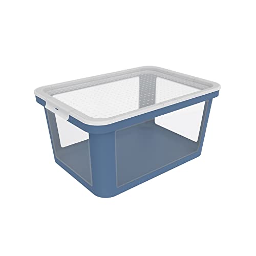 Rotho Albris Aufbewahrungsbox 45l mit Deckel, Kunststoff (PP recycelt), blau/transparent, 45l (57.0 x 39.2 x 27.0 cm) von Rotho