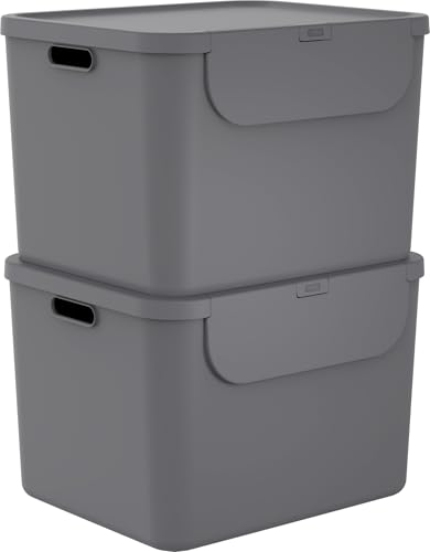 Rotho Albula 2er-Set Mülltrennungssystem 55l für die Küche, Kunststoff (PP) BPA-frei, 55l (52.3 x 40.5 x 34.0 cm) von Rotho