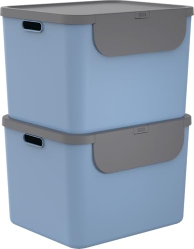 Rotho Albula 2er-Set Mülltrennungssystem 55l für die Küche, Kunststoff (PP) BPA-frei, 55l (52.3 x 40.5 x 34.0 cm) (Blau) von Rotho