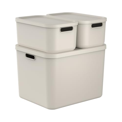 Rotho Albula 3er-Set Aufbewahrungsbox 1x55l +2x12l Kunststoff (PP recycelt) (Beige) von Rotho