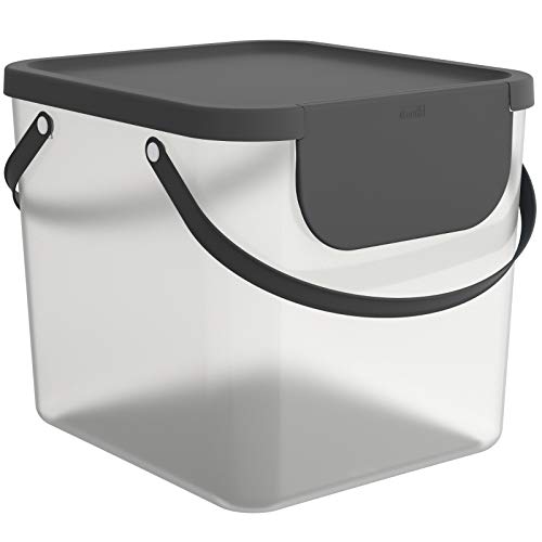 Rotho Albula Aufbewahrungsbox 40l mit Deckel, Kunststoff (PP recycelt), transparent/anthrazit, 40l (39.8 x 35.8 x 33.9 cm) von Rotho
