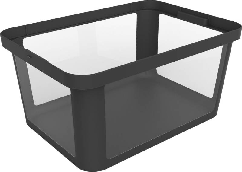 Rotho Aufbewahrungsbox Albris 45 L schwarz 55,5 x 39 x 26,5 cm von Rotho