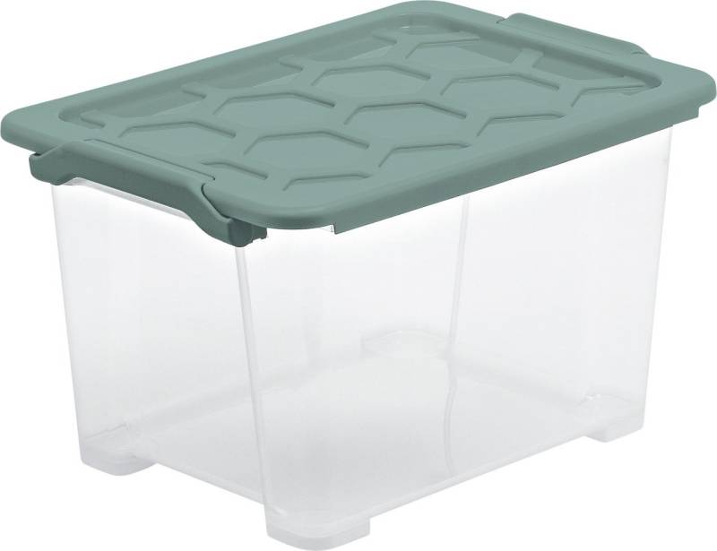 Rotho Aufbewahrungsbox EVO Safe inkl. Deckel 15 L Mistletoe grün von Rotho