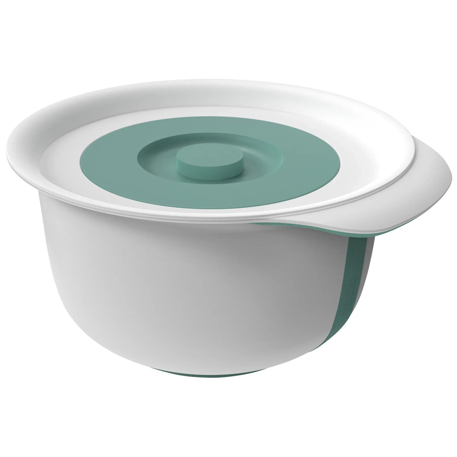 Rotho Backschüssel-Set Fresh Mistletoe Green 2-teilig von Rotho