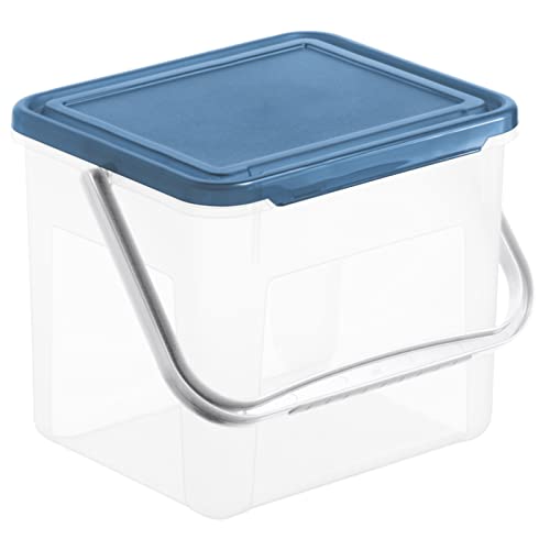 Rotho Basic Aufbewahrungsbox 5l mit Deckel und Henkel, Kunststoff (PP) BPA-frei, transparent/blau, 3kg/5l (21.0 x 20.0 x 18.0 cm) von Rotho